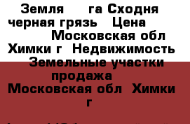 Земля 2,3 га Сходня, черная грязь › Цена ­ 40 000 000 - Московская обл., Химки г. Недвижимость » Земельные участки продажа   . Московская обл.,Химки г.